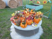 Veselé dýňování s rodiči